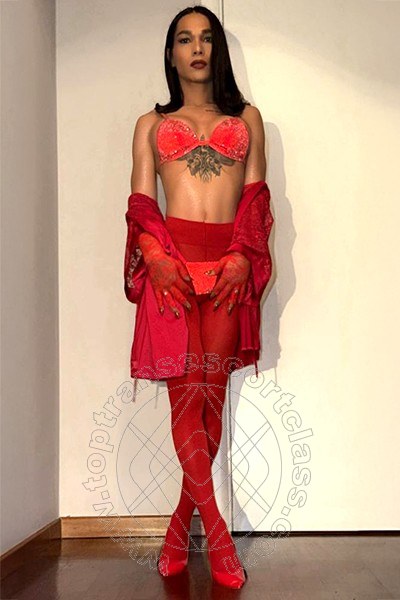 <b>MILANO (Zona Stazione Centrale)</b><BR>
<span style="font-weight:bold;">NOVITA' ASSOLUTA IN ITALIA!!! UNA DELIZIOSA TRANS ESCORT MOLTO... Bella Xxl MILANO 3935292998